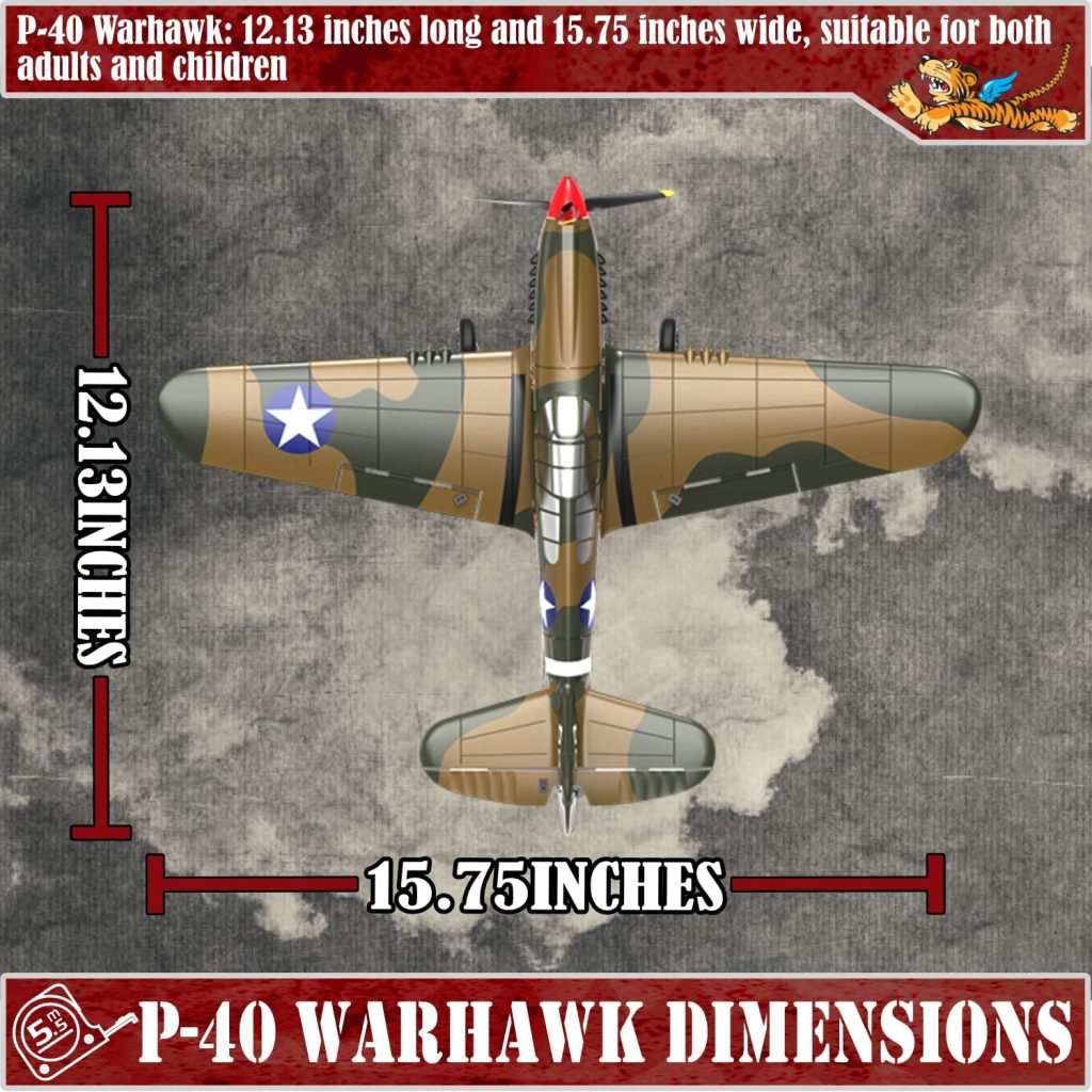 the LEAMBE 2 Channel Remote Control Airplane