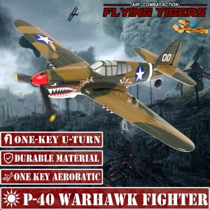 LEAMBE 2 Channel Remote Control Airplane